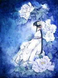极品小医农